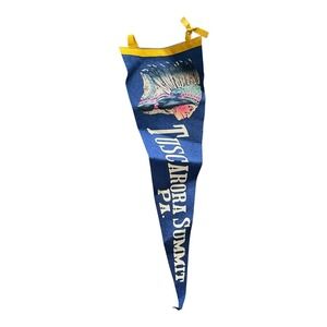 Vintage Tuscarora‎ Summit PA Pennant Native American Chief Souvenir Travel